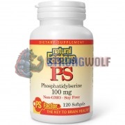 Phosphatidylserine [PS100] (100 мг x 120 капс), Natural Factors