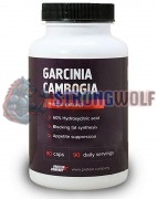 Garcinia Cambogia (500 мг x 90 капс), Protein Company