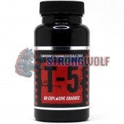 T-5 (60 капс), Zion Labs