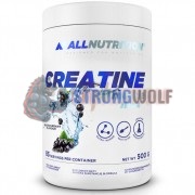Creatine Muscle Max (500 гр: 83 порций), AllNutrition